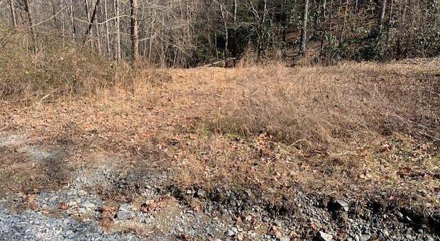 Photo of 10.01 ac Pleasant Grove Rd Unit TRACT 3, Laurel Park, NC 28739