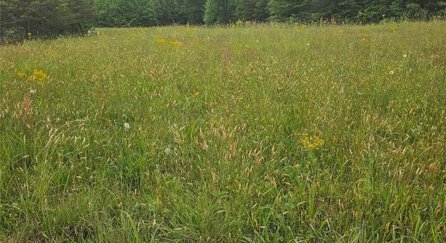 Photo of 0000 Baber Forest Dr #21, Rutherfordton, NC 28139