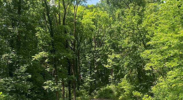 Photo of 3288 Tatertown Loop #2, Nebo, NC 28761