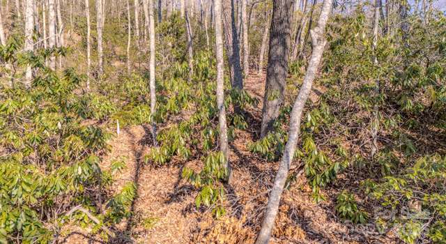 Photo of 99999 Upper Peace Dr, Candler, NC 28715