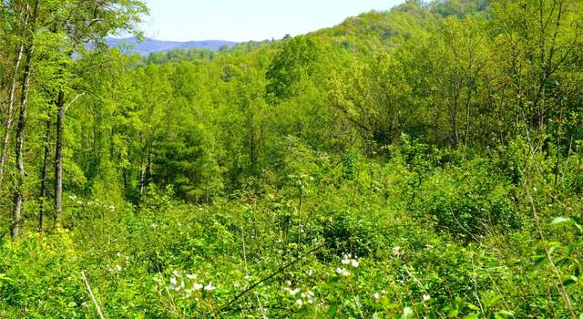 Photo of 00 Bishop Cove Rd, Fairview, NC 28730