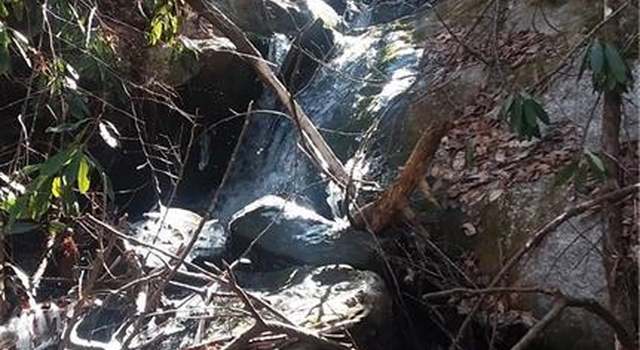 Photo of 9999 N Deer Run #4, Black Mountain, NC 28711