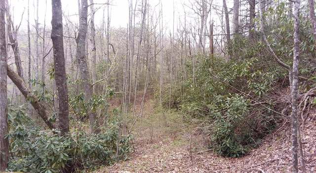 Photo of 9999 N Deer Run #4, Black Mountain, NC 28711