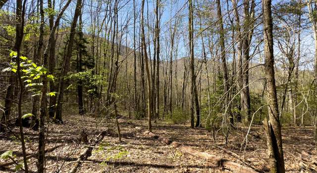 Photo of Lot 80 Shangri Ln #80, Qualla, NC 28719