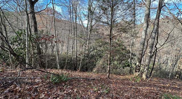 Photo of 00 Rock House Cove Rd #2, Clyde, NC 28721