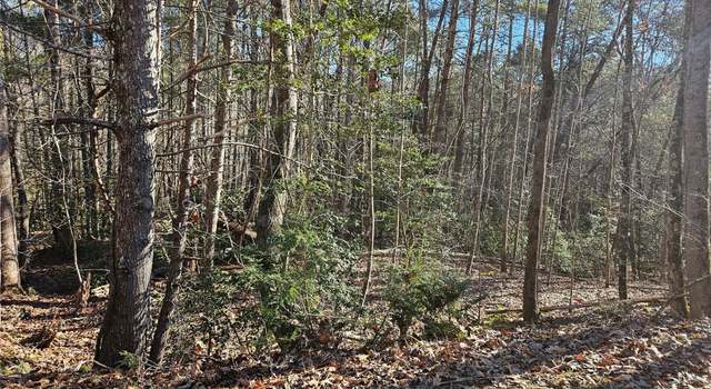 Photo of 0 Roadrunner Cir #109, Lake Lure, NC 28746