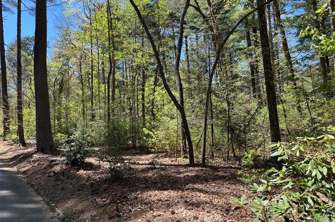 LOT 1 Sherwood Dr S, Flat Rock, NC 28731 | MLS# 4022013 | Redfin