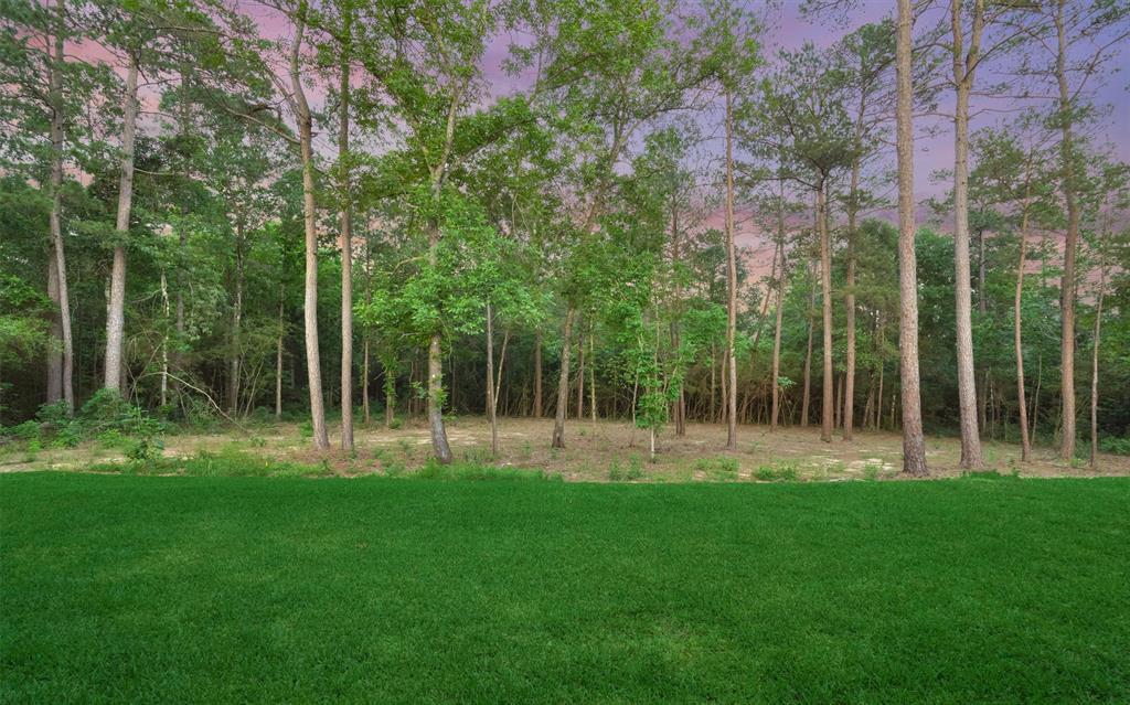 15706 Republic Grand Ranch Rd N, Willis, TX 77378 MLS 72972100 Redfin