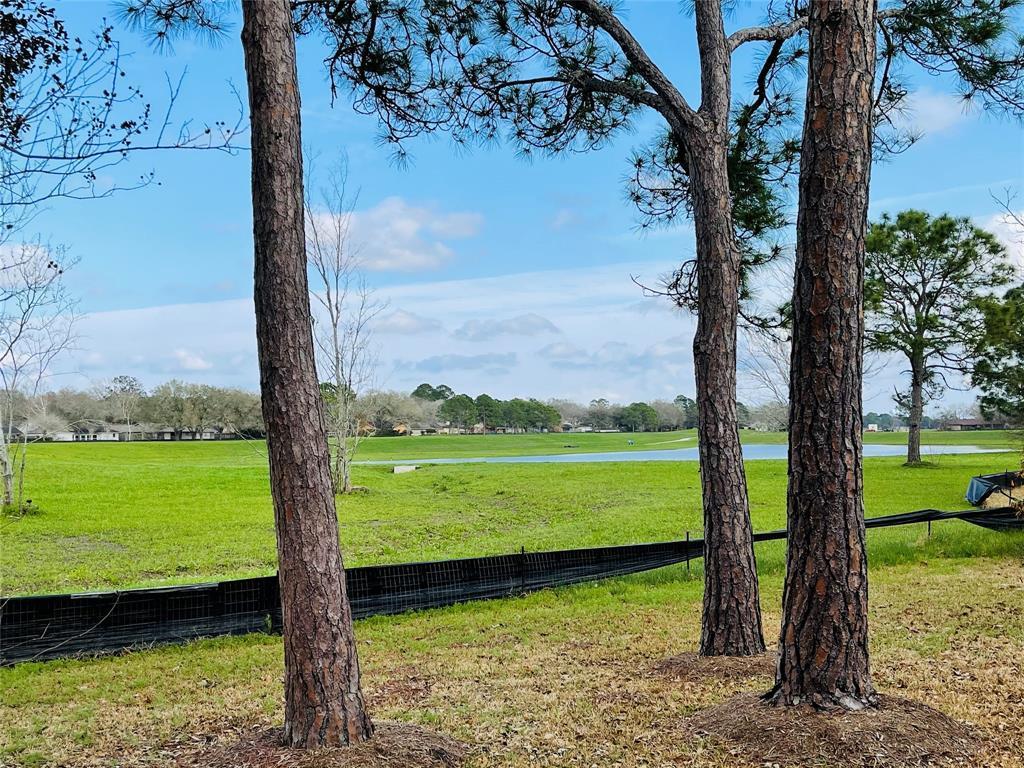 15207 Diana, Houston, TX 77062 | MLS# 71550699 | Redfin