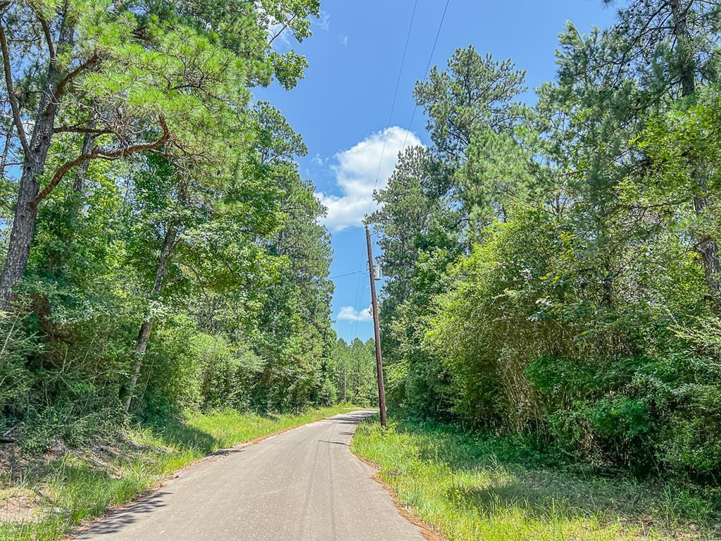 02 CR 364, Zavalla, TX 75980 MLS 79503711 Redfin