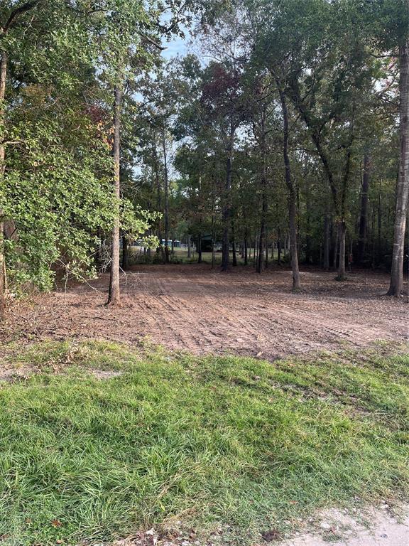 146 Beaver Run, Livingston, TX 77351 MLS 36025969 Redfin