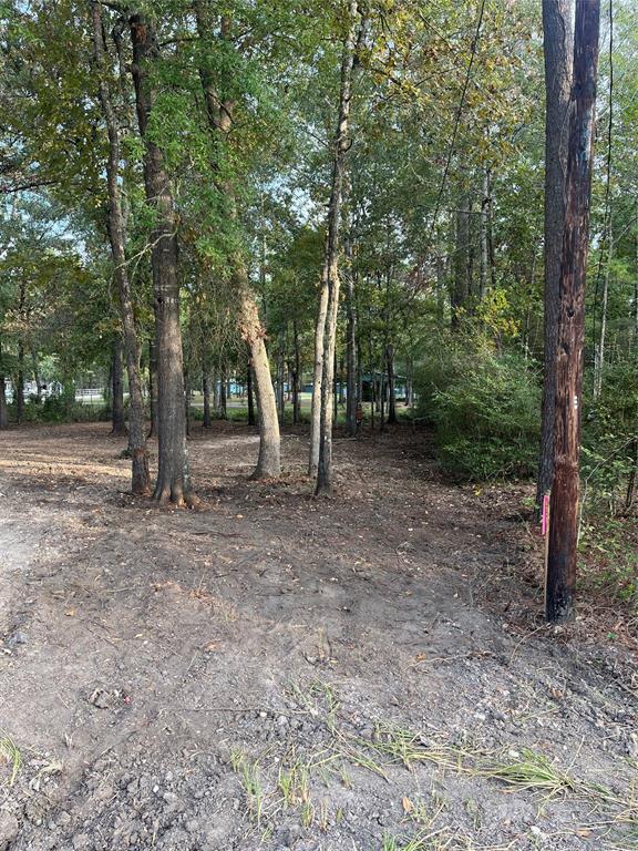146 Beaver Run, Livingston, TX 77351 MLS 36025969 Redfin