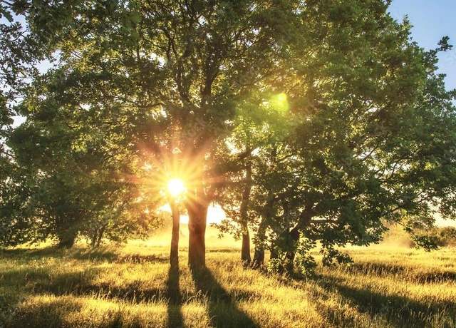 Property at TBD Sandy Creek Rd, Garwood, TX 77442