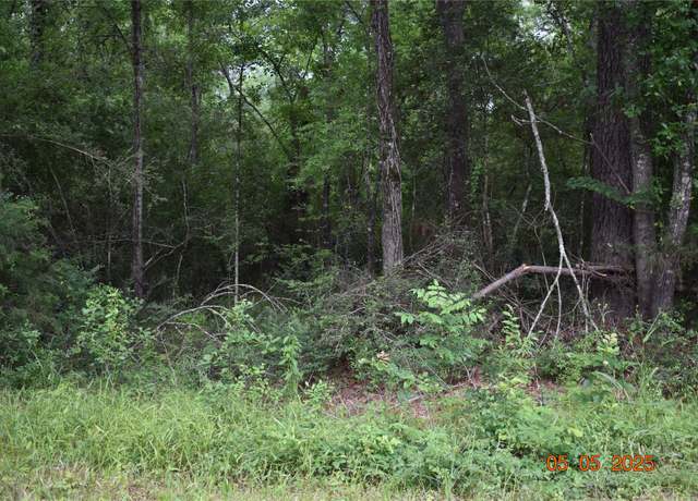 Property at TBD Grace Ln, Huntsville, TX 77320
