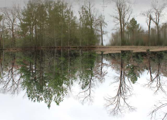 Property at 298 Private Road 1350, Centerville, TX 75833