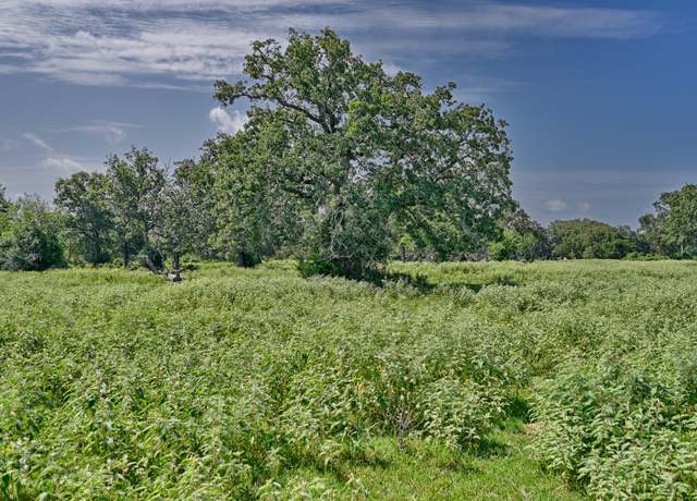 Property at TBD(+/-21.75 AC) Old Loewe Ln, Carmine, TX 78932