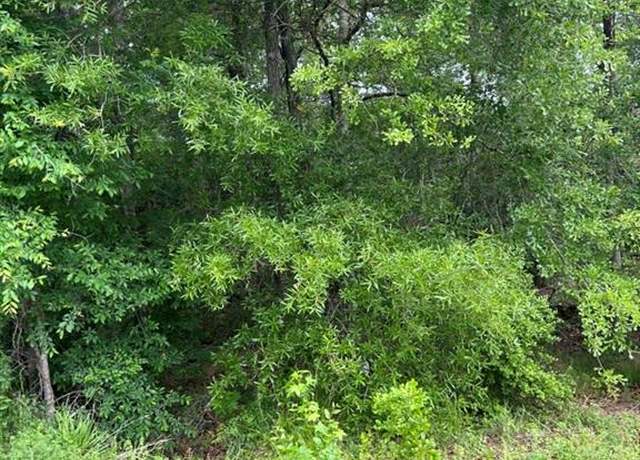 Property at 0 Stag Ln, Shepherd, TX 77371