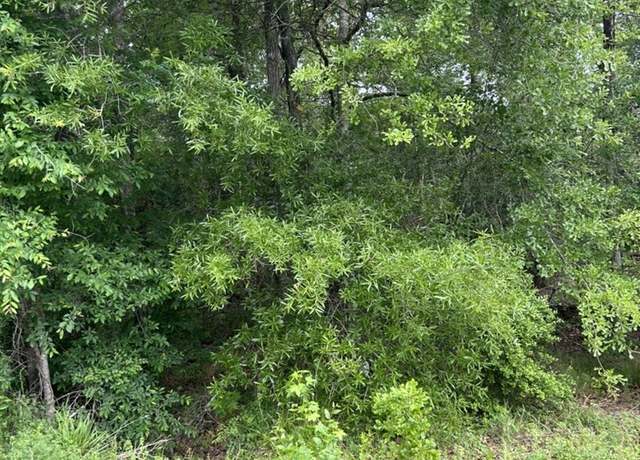 Property at 0 Stag Ln, Shepherd, TX 77371