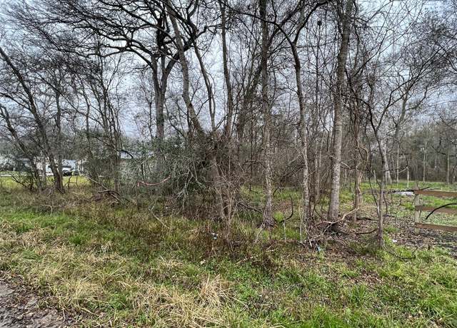 Property at 0 Lost Forest Dr, Guy, TX 77444