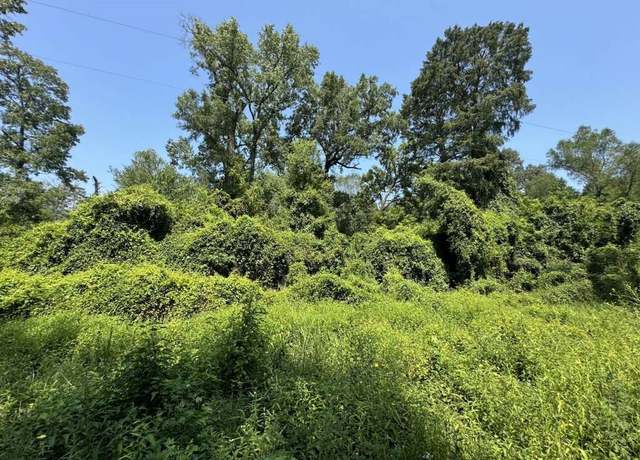 Property at 1891 Sample Dr, Woodville, TX 75979