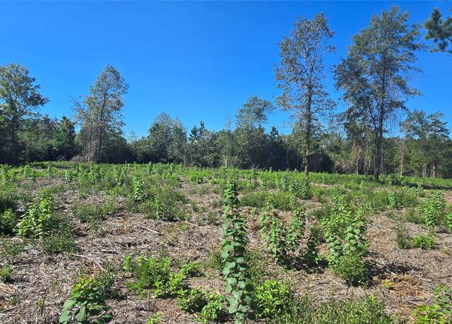 Property at 0000 Cr 338, Nacogdoches, TX 75961