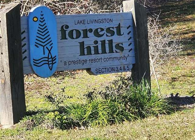 Property at Lots 428 & 429 Echo Hills Ln, Livingston, TX 77351