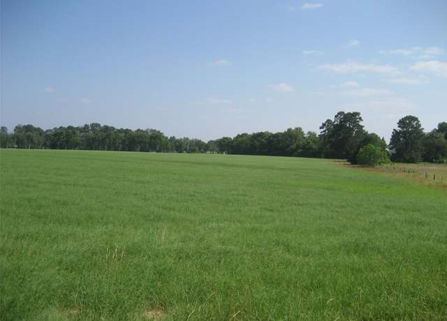 Property at 00 Cr 1890 N, Grapeland, TX 75844