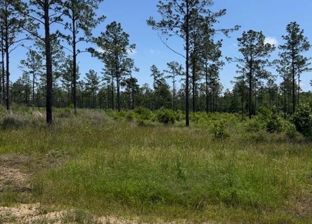 Property at TBD 38 Reveille Rd, Livingston, TX 77351
