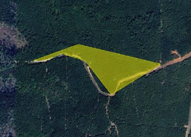 Property at 0 County Rd 406, San Augustine, TX 75972