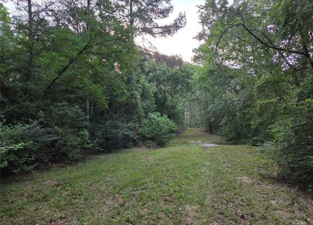 Property at ~10.61 Acres Johnson Rd, Montgomery, TX 77356