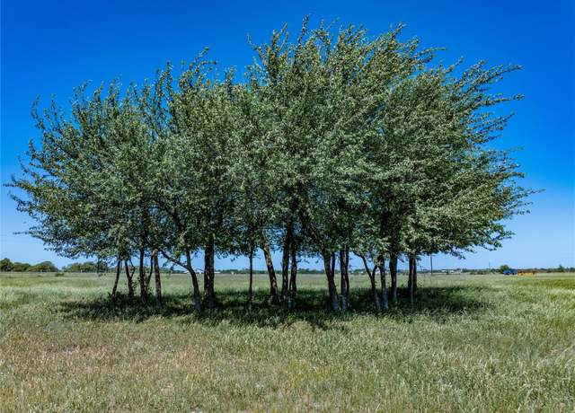 Property at 7239 Meiners Rd, Ledbetter, TX 78946