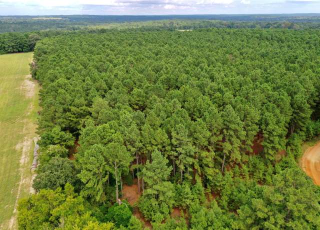 Property at TBD Cr 1735, Grapeland, TX 75844
