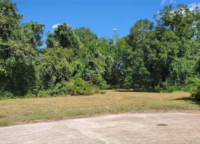 Property at 400 Horse Shoe Trl, Angleton, TX 77515
