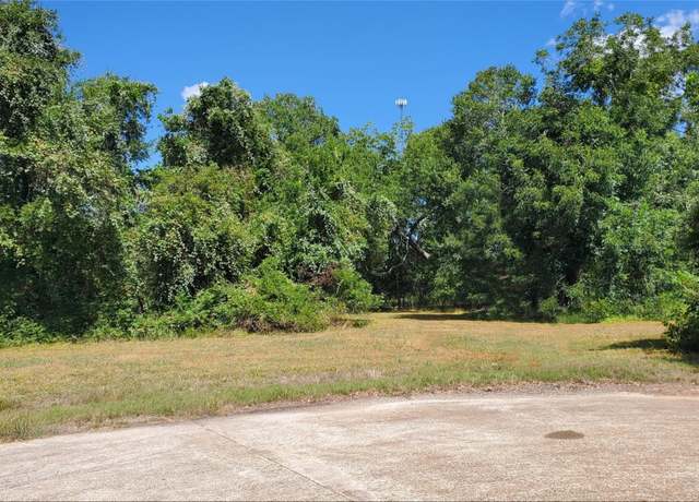 Property at 400 Horse Shoe Trl, Angleton, TX 77515