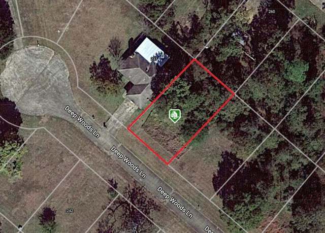 Property at 245 Deep Woods Ln, Livingston, TX 77351