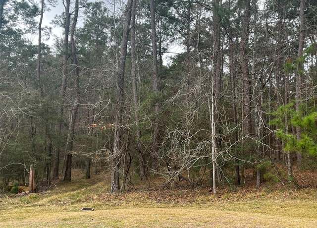 Property at 46 S Royale Greens Dr, Coldspring, TX 77331