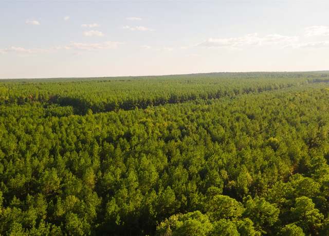 Property at TBD Highway 287, Groveton, TX 75845