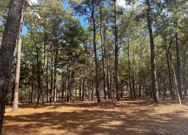 Property at 751 Red Holw, Leggett, TX 77350
