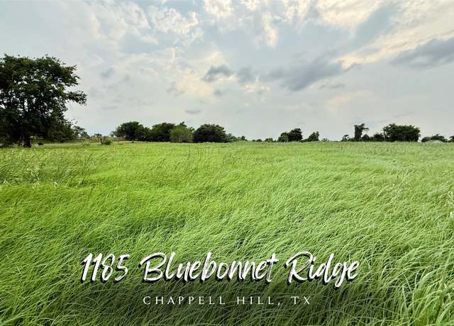 Property at 1185 Bluebonnet Ridge Dr, Chappell Hill, TX 77426