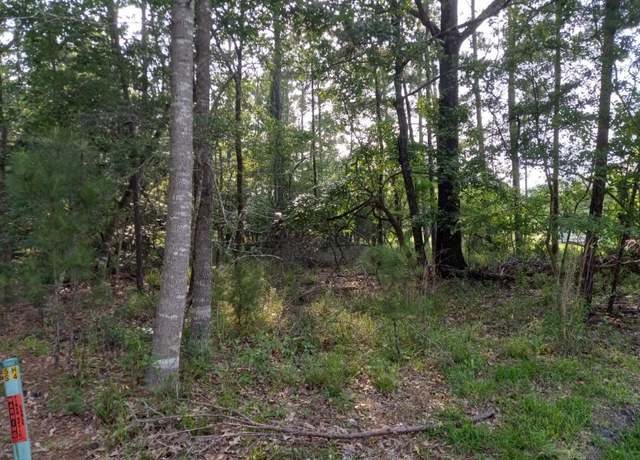 Property at 136 S Pine Harbour Dr, Coldspring, TX 77331