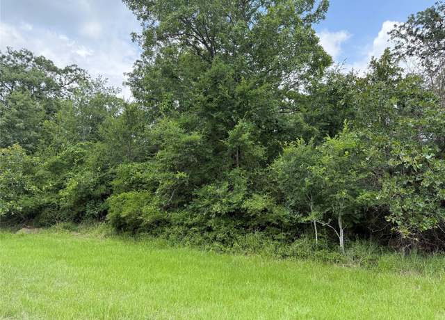Property at 0 Lake Wood Dr, Marquez, TX 77865