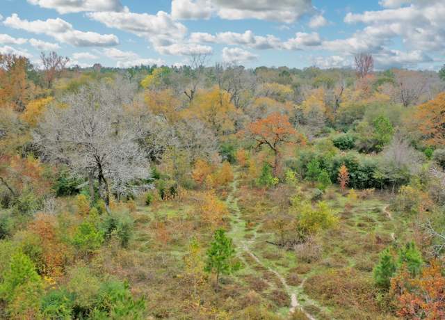 Property at TBD Newport Ln, Midway, TX 75852