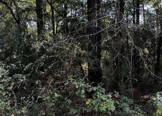 Property at 21793 Bluebonnet Dr, Navasota, TX 77868