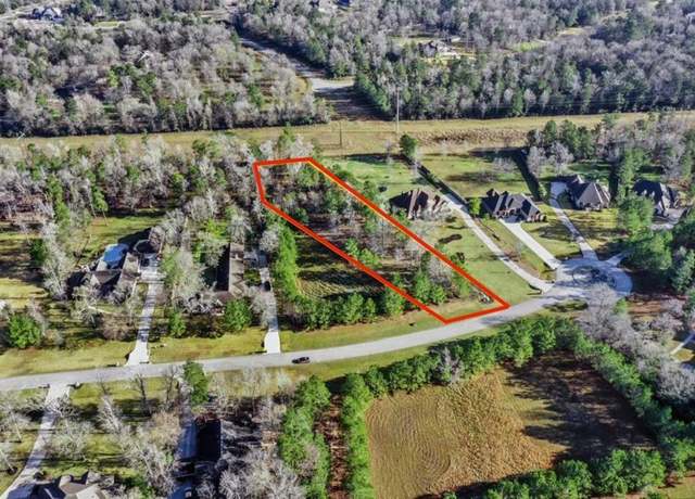 Property at 393 Ridge Lake Scenic Dr, Montgomery, TX 77316