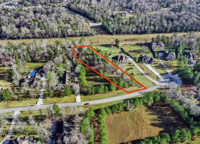 Property at 393 Ridge Lake Scenic Dr, Montgomery, TX 77316