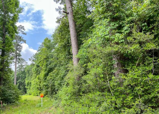Property at 00000 Fm 2937, Silsbee, TX 77656