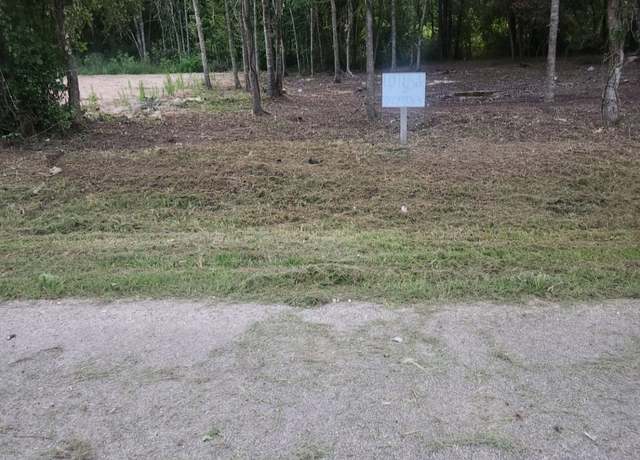 Property at 0 N Railroad Road Ave Ave, Shepherd, TX 77371