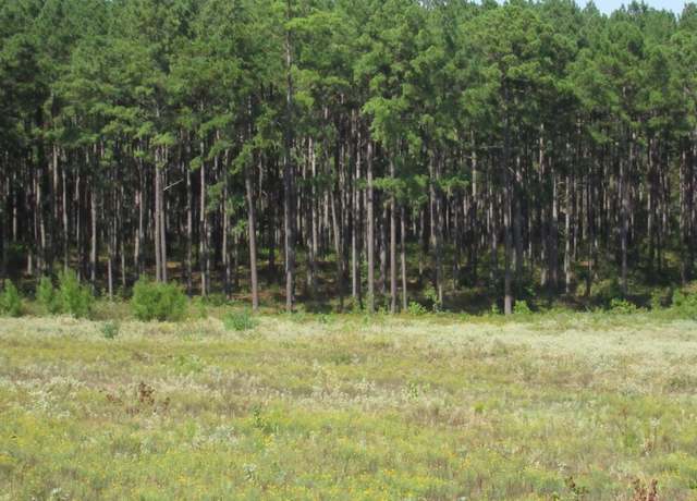 Property at 0024 FM 256 N, Woodville, TX 75979