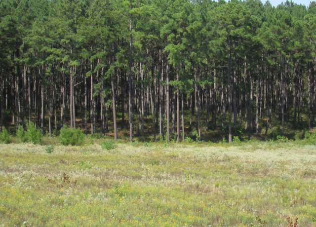 Property at 0024 Fm 256 N, Woodville, TX 75979