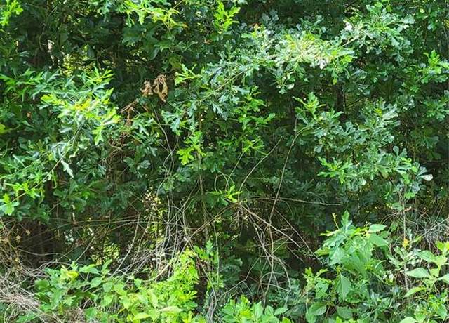Property at 27735 Mid Ln, Splendora, TX 77372